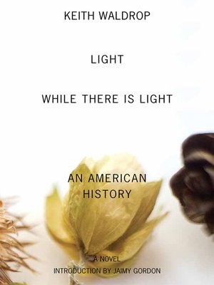 cover image of Light While There Is Light